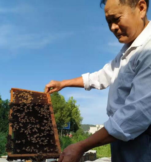 余天和 荣获由历晨网络科技主